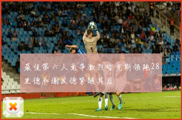 最佳第六人竞争激烈哈克斯领跑28里德和谢泼德紧随其后