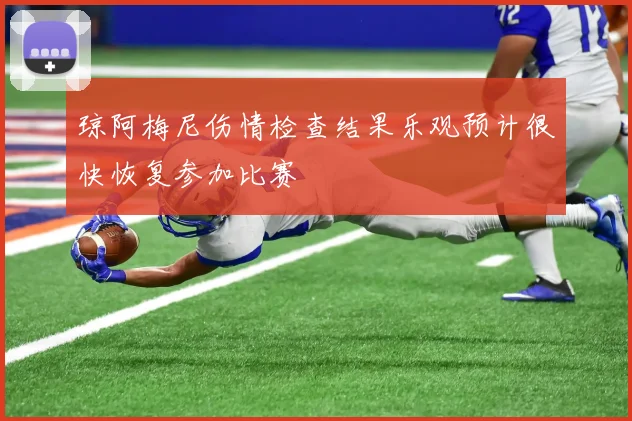 琼阿梅尼伤情检查结果乐观预计很快恢复参加比赛